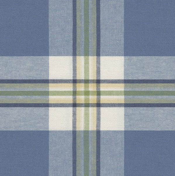 MicroD  LAINE PERIWINKLE