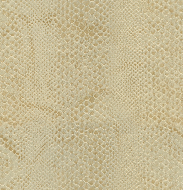 MicroD  LE1045-81