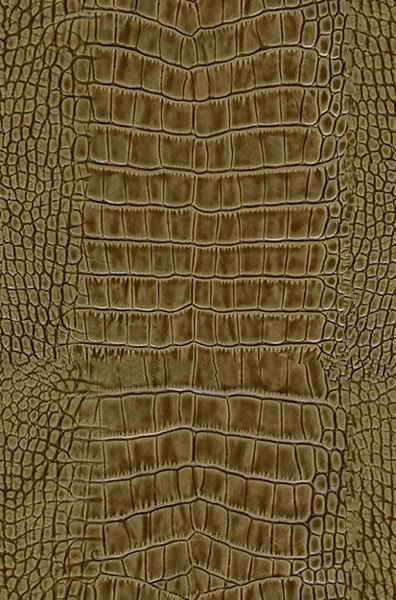 MicroD  LE1068-37