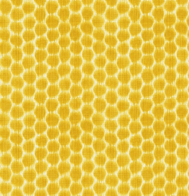 MicroD  LITTLE DOT_40