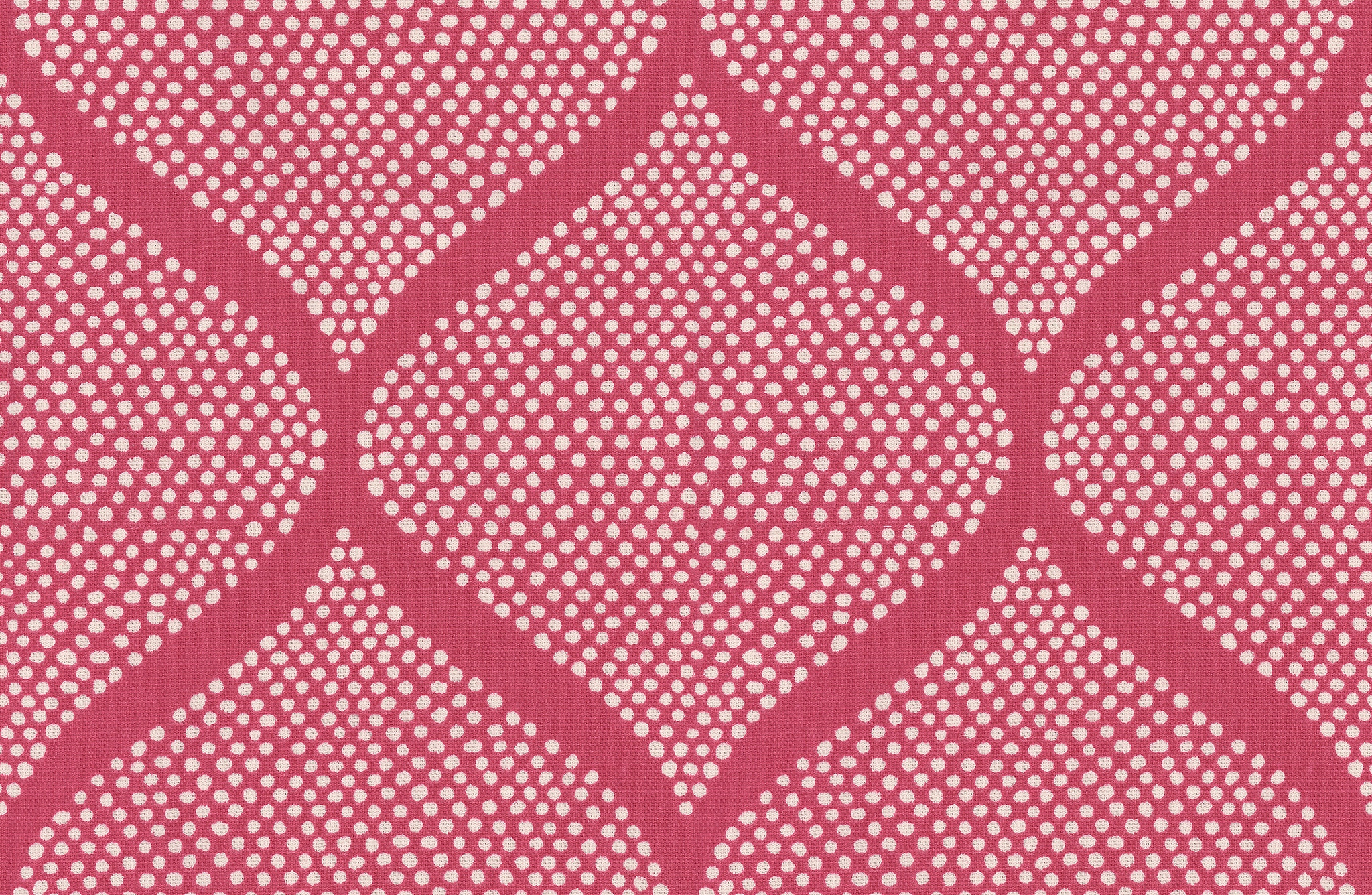MicroD  MACOMBO STRAWBERRY