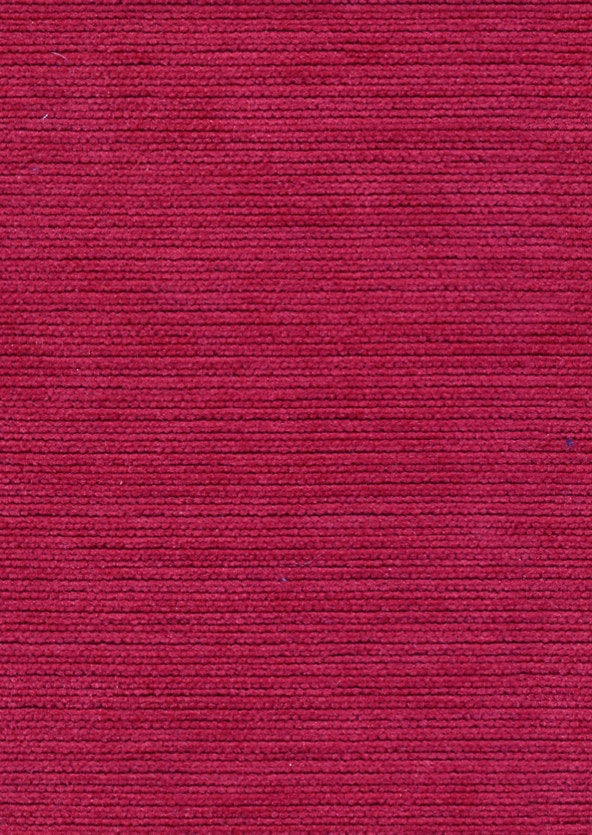 MicroD  Panalux 618 Blush