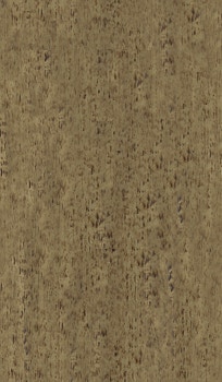 SANDSTORM