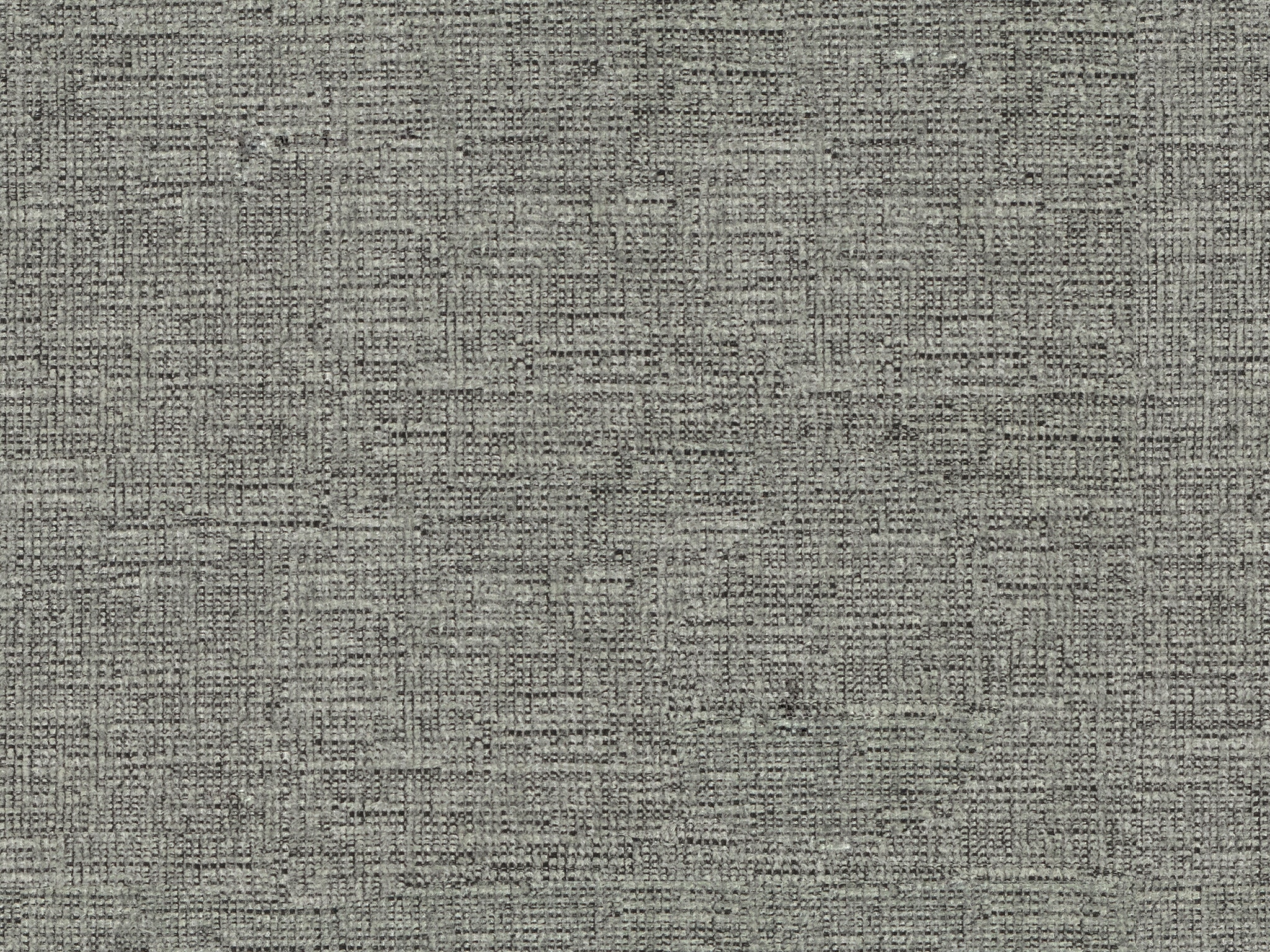 MicroD  SCHOLAR FOG NL E