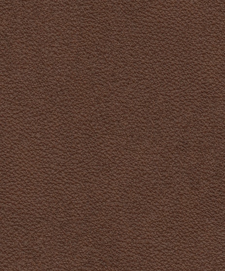 MicroD  SOLAC HARN