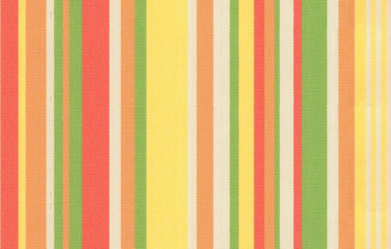 MicroD  STEEPLECHASE-CITRUS-S