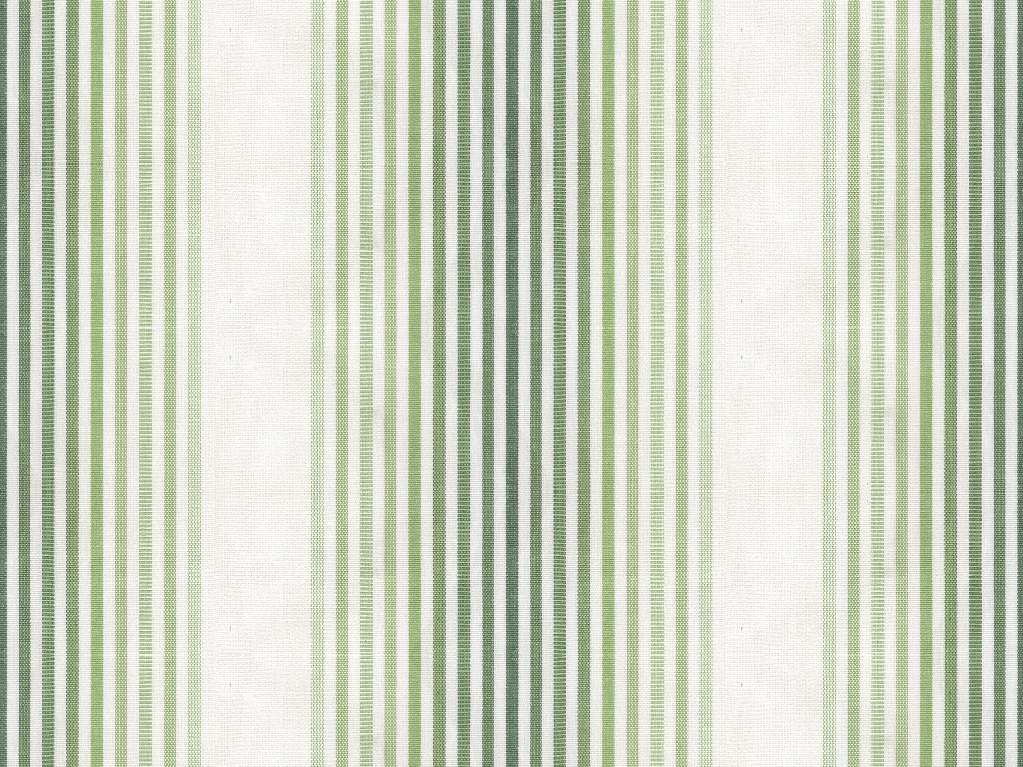 TIVOLI STRIPE PALM