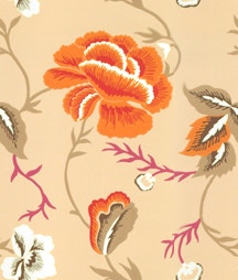MicroD  wallpaper-anichov-nutmeg-print