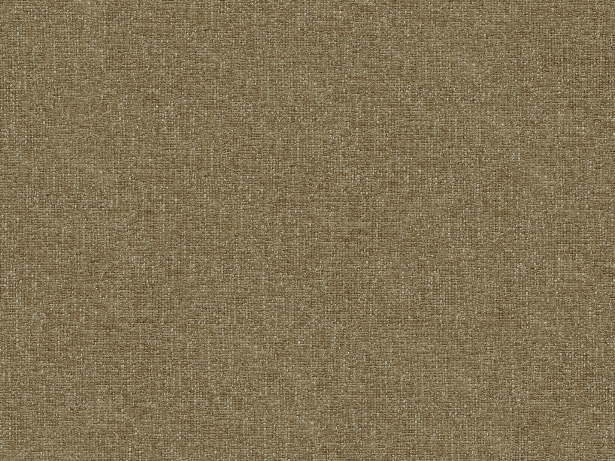Beige Solid 318-80