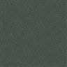 MicroD  577 13 Charcoal