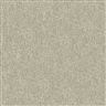 MicroD  577 81 Light Beige
