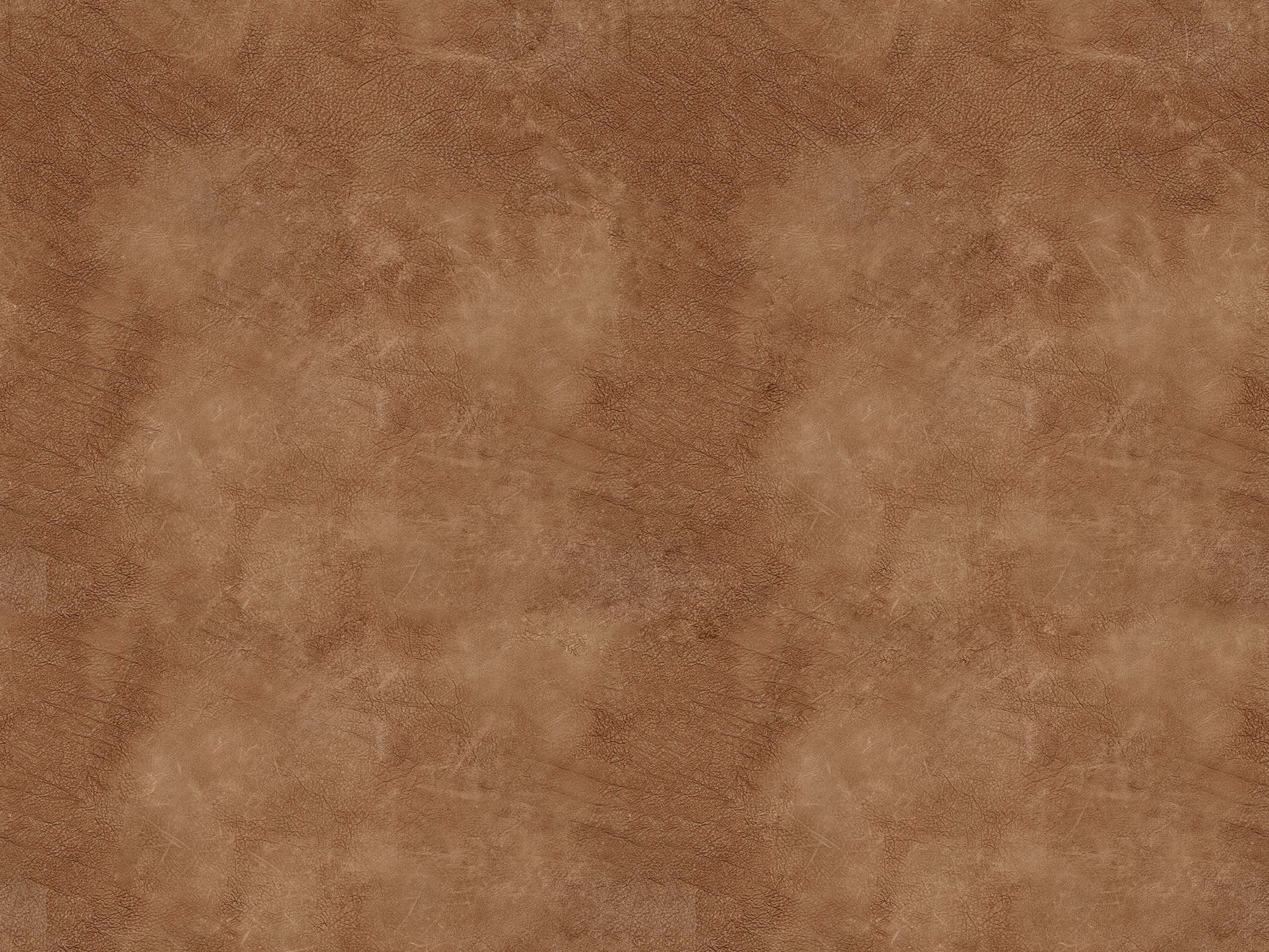  COCOA 7199-8