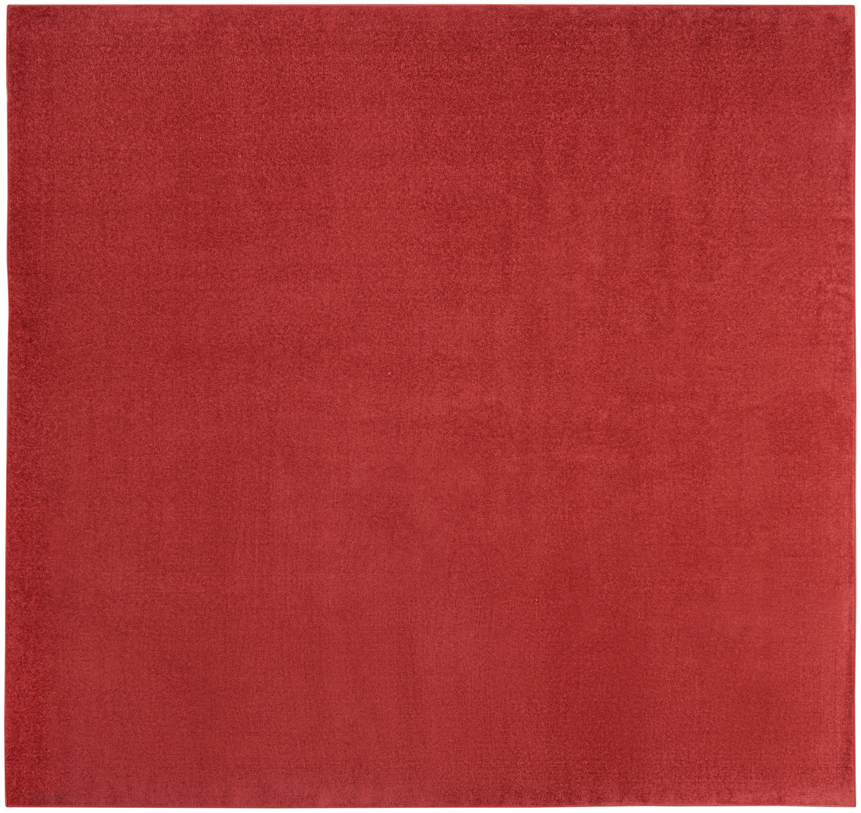 Nourison Home Area Rugs Nourison Essentials 5' x Square Brick Red