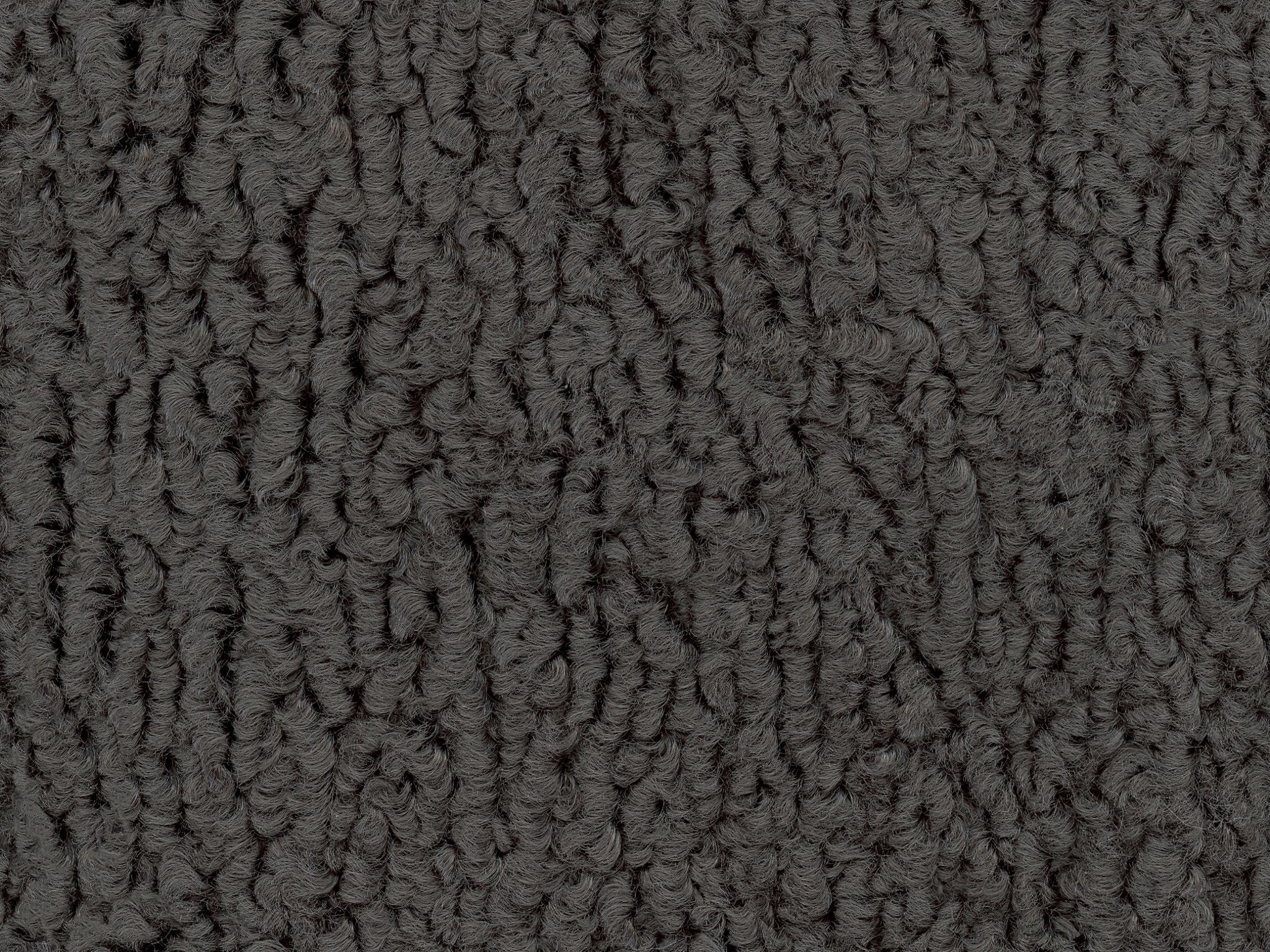   SHEEPSKIN-41