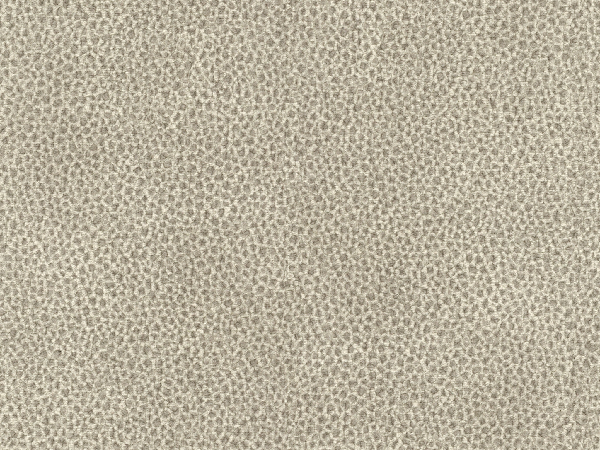   STINGRAY-41