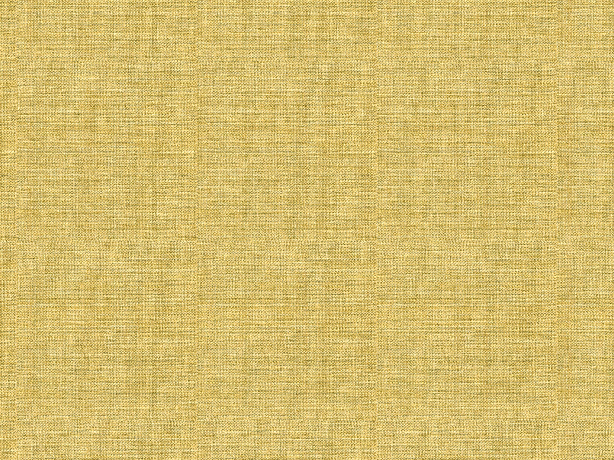 Chaddock  F1244-MING