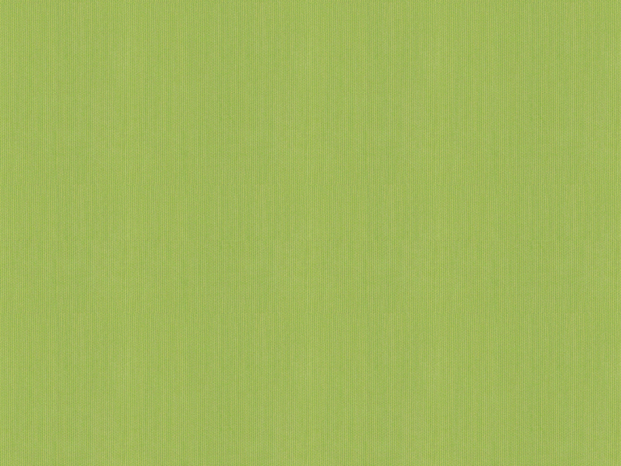 Chaddock  F1328-KIWI