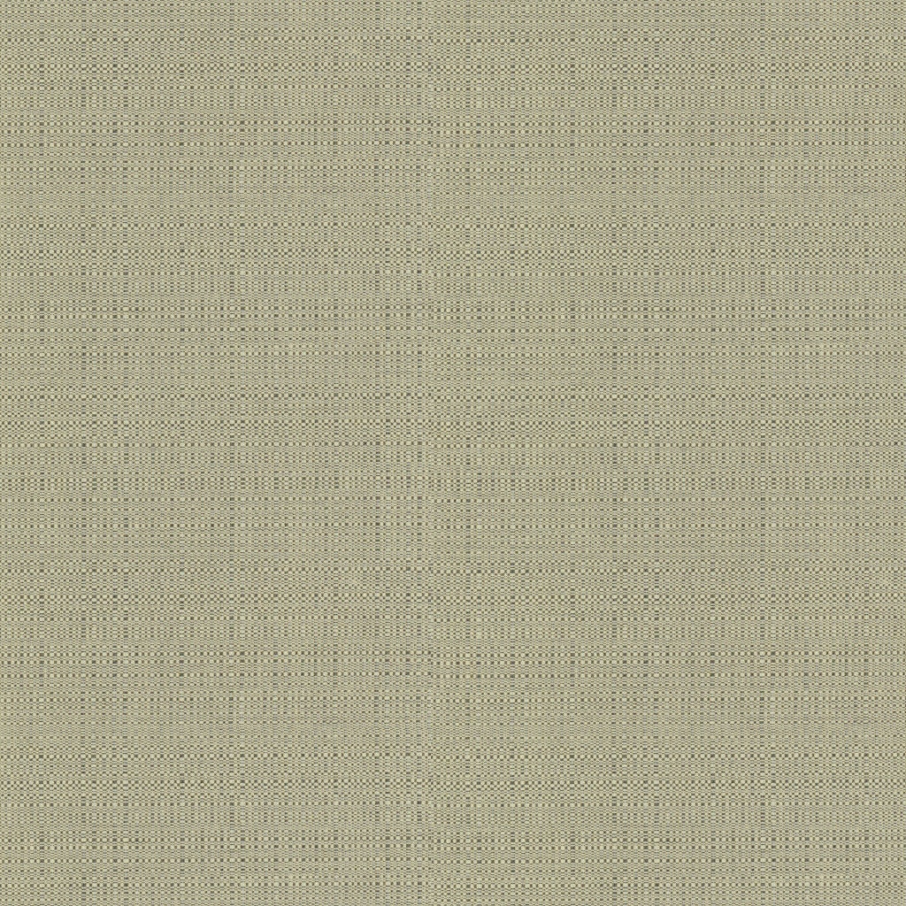 Chaddock  F1329-CHAM