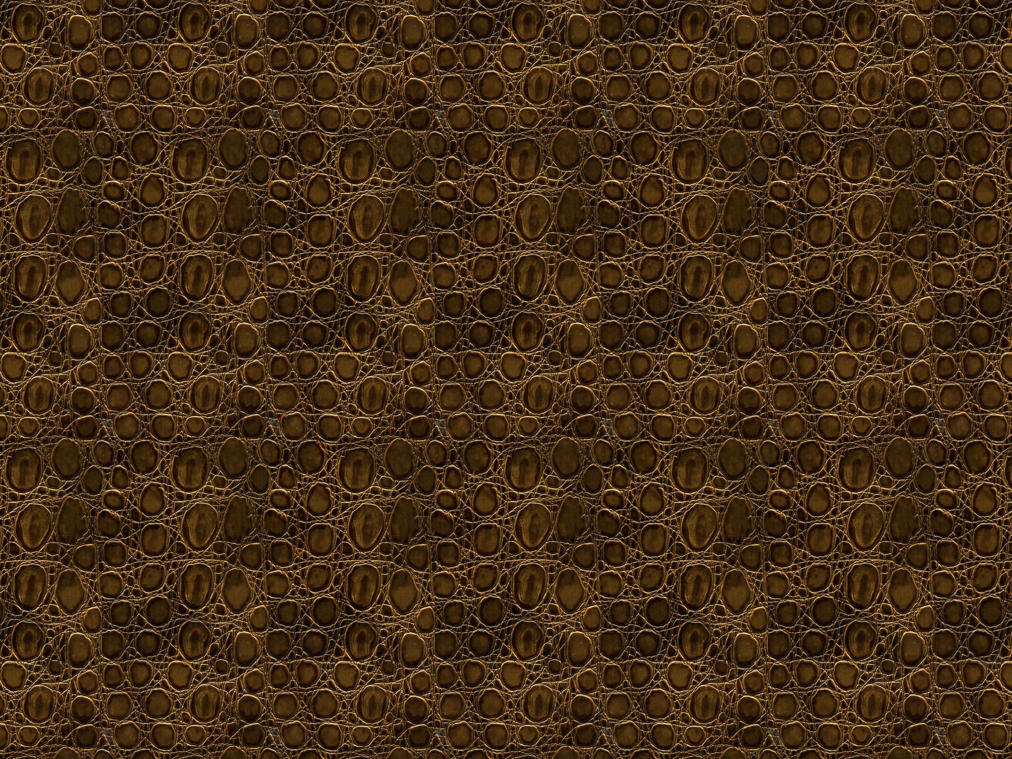 Chaddock  F2119-CROC