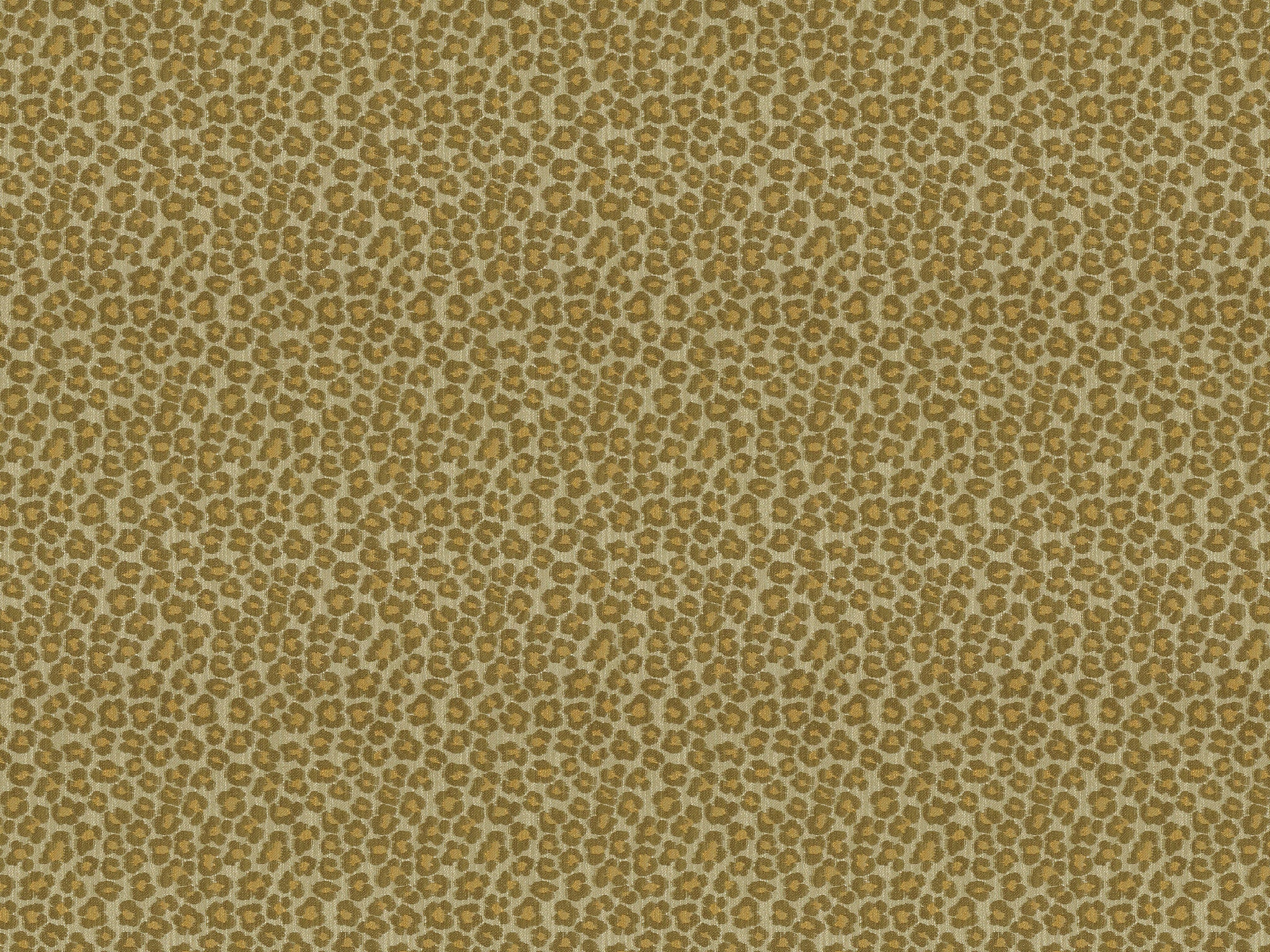 Chaddock  F2124-MAIZ