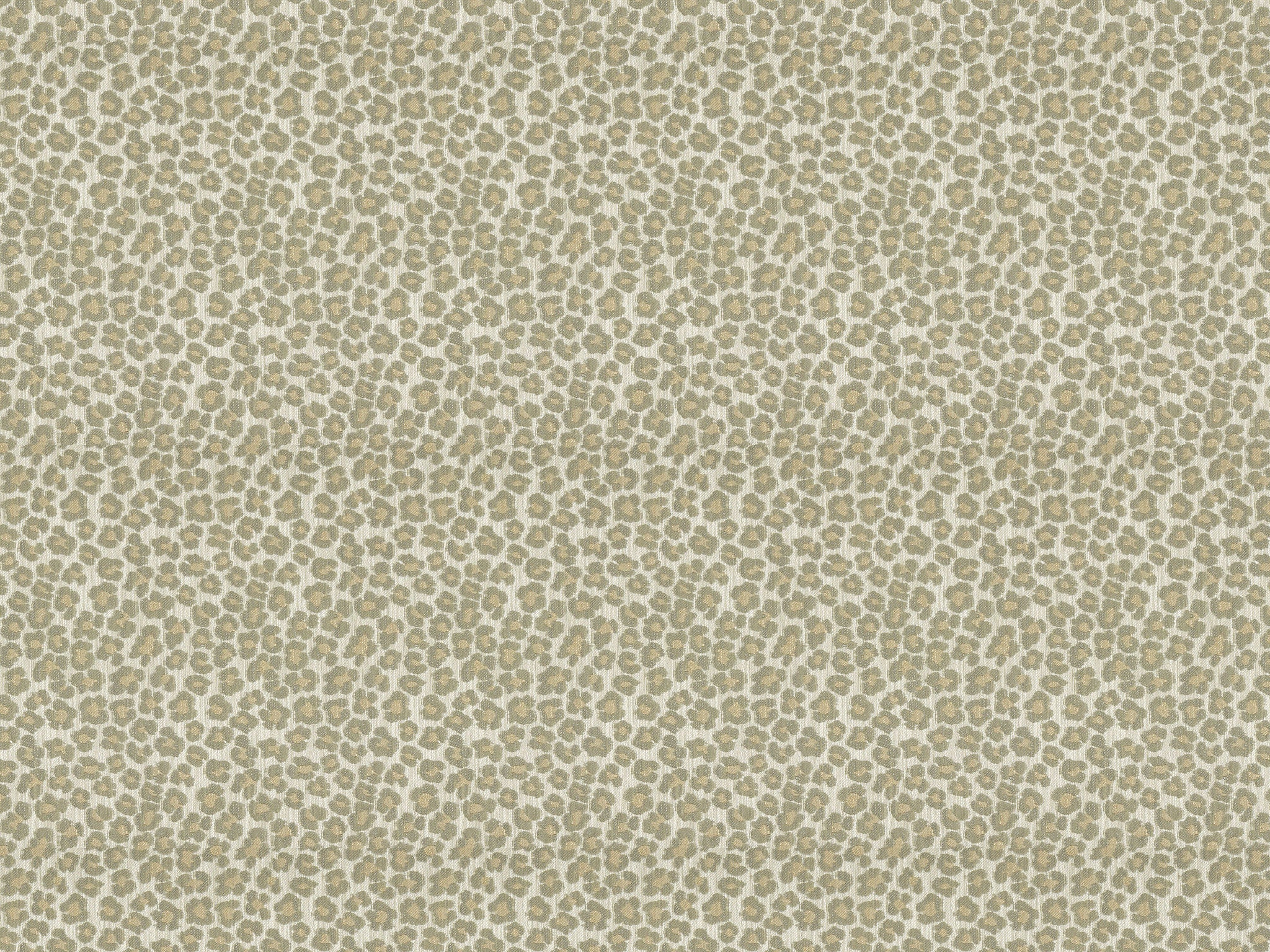 Chaddock  F2124-MUSH