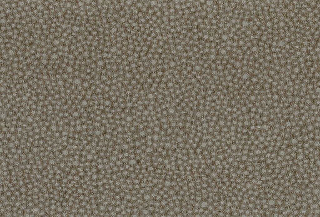 Chaddock  F2174-FANT