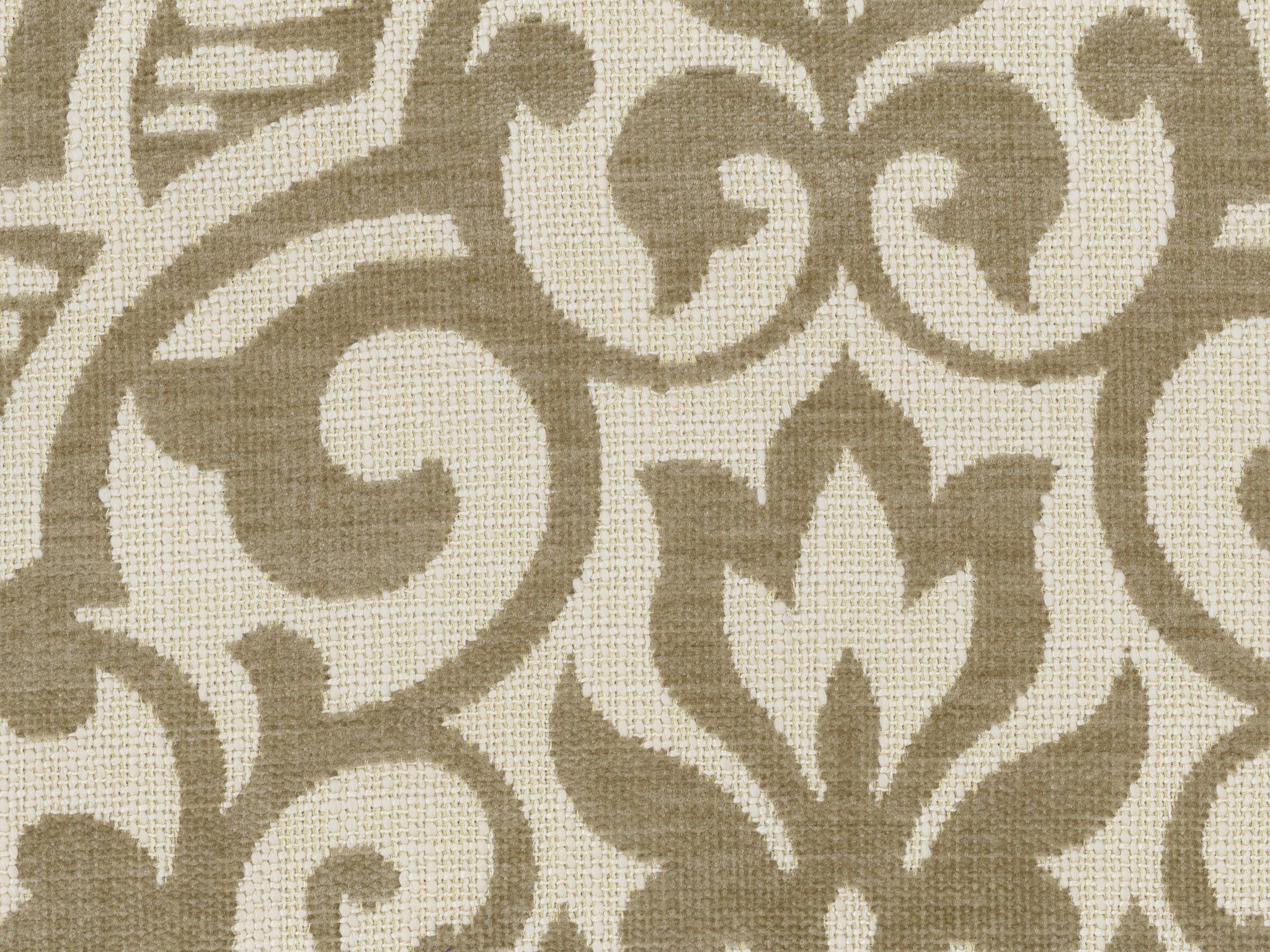 Chaddock  F2225-TAN
