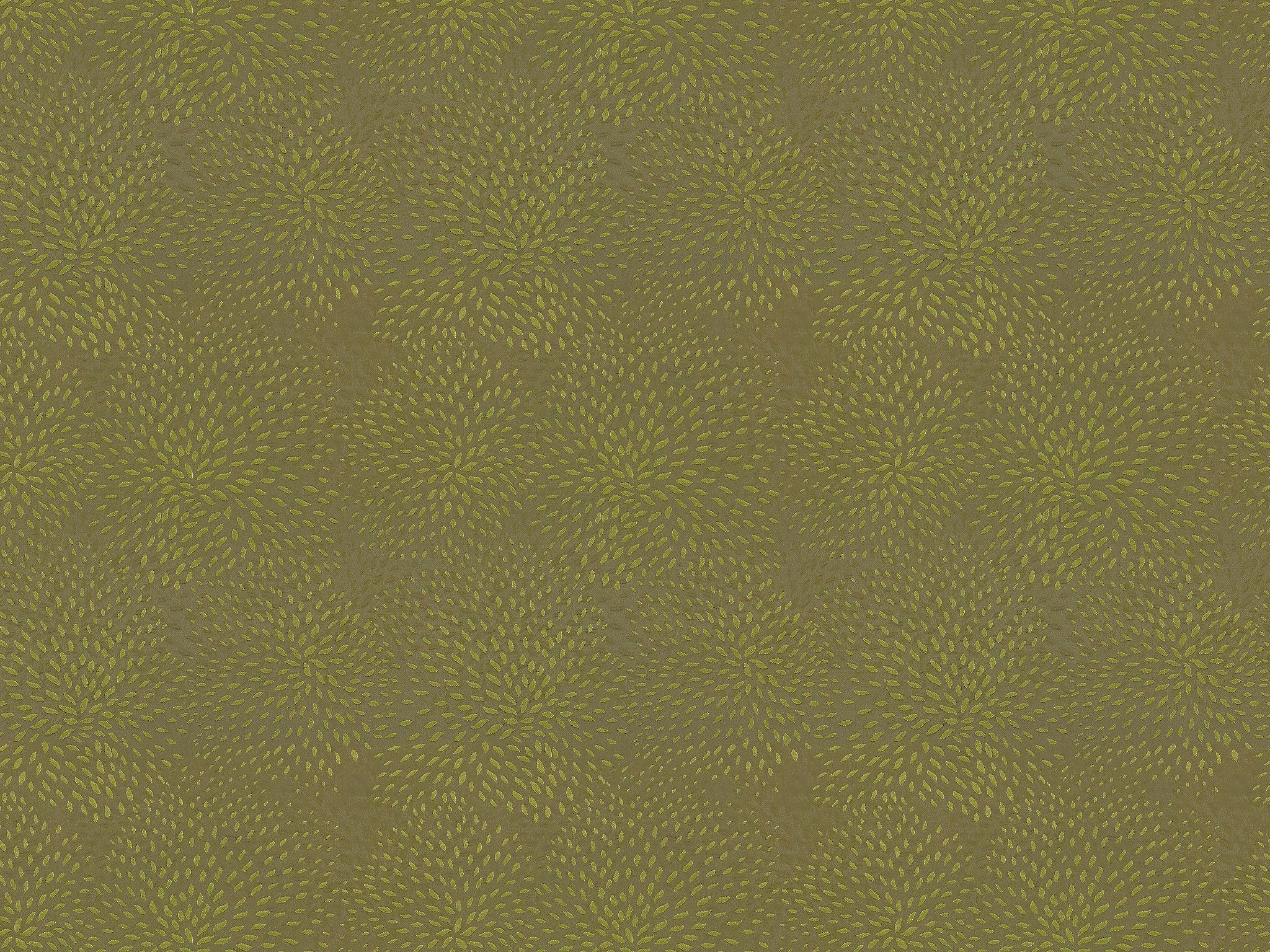 Chaddock  F6131-BROW