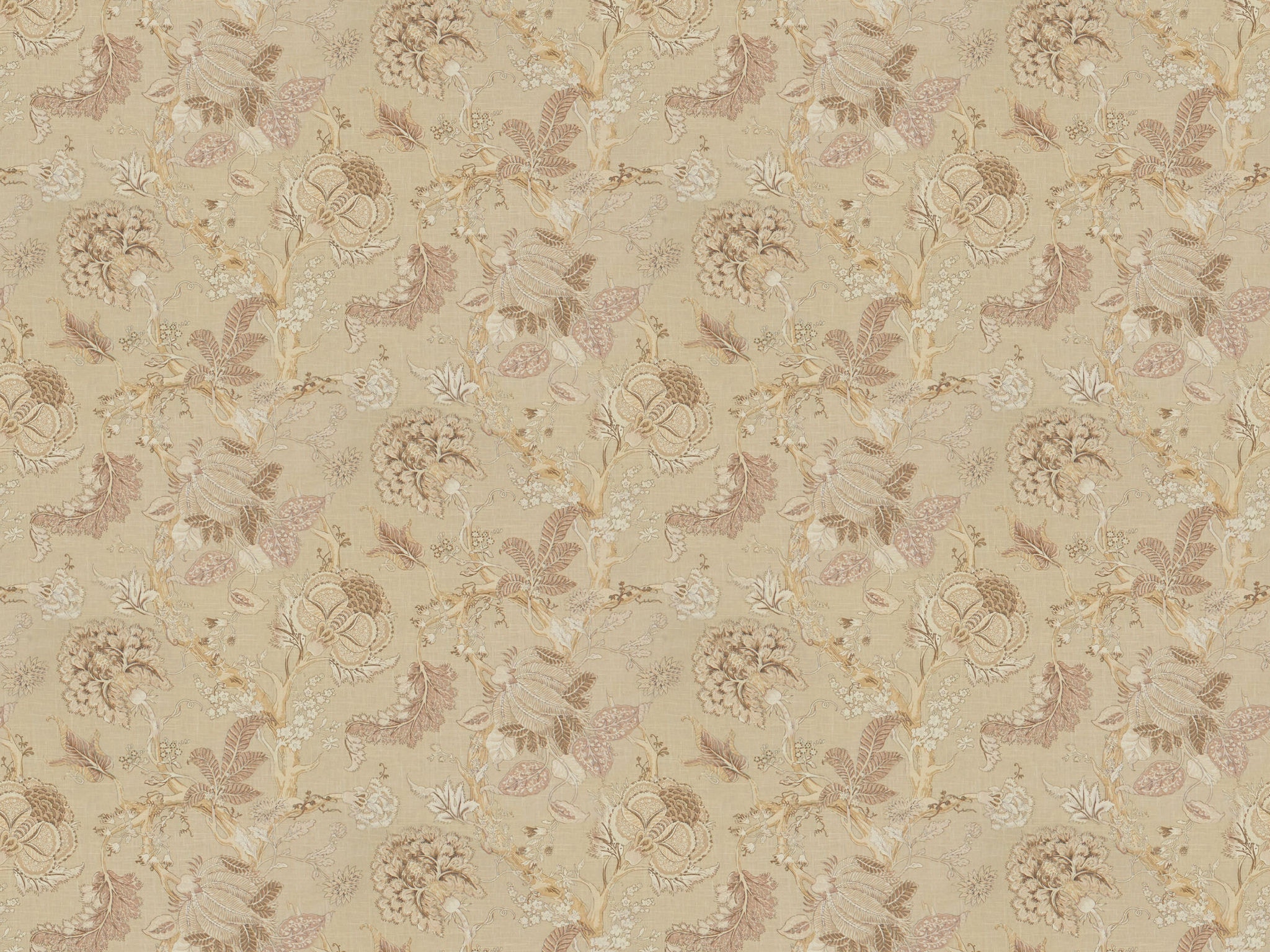 Chaddock  F8051-SAGE