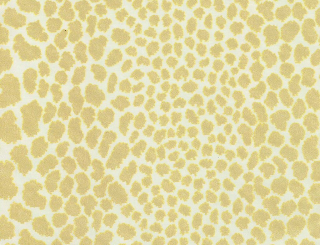 Chaddock  F8072-GOLD