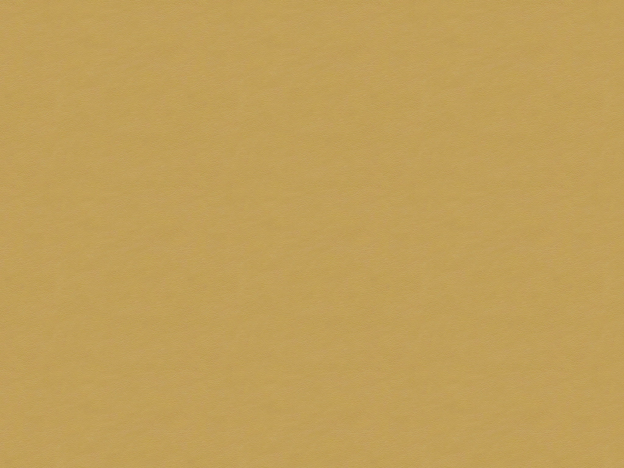 Chaddock  L2078-BONE