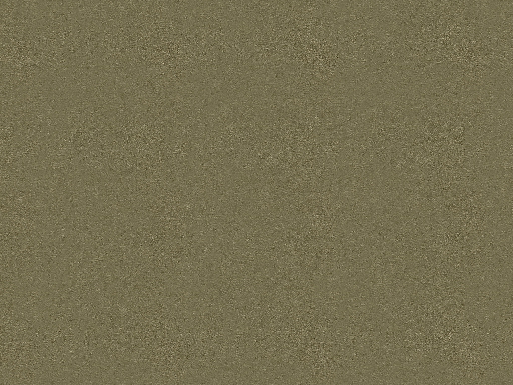 Chaddock  L2196-ASHE