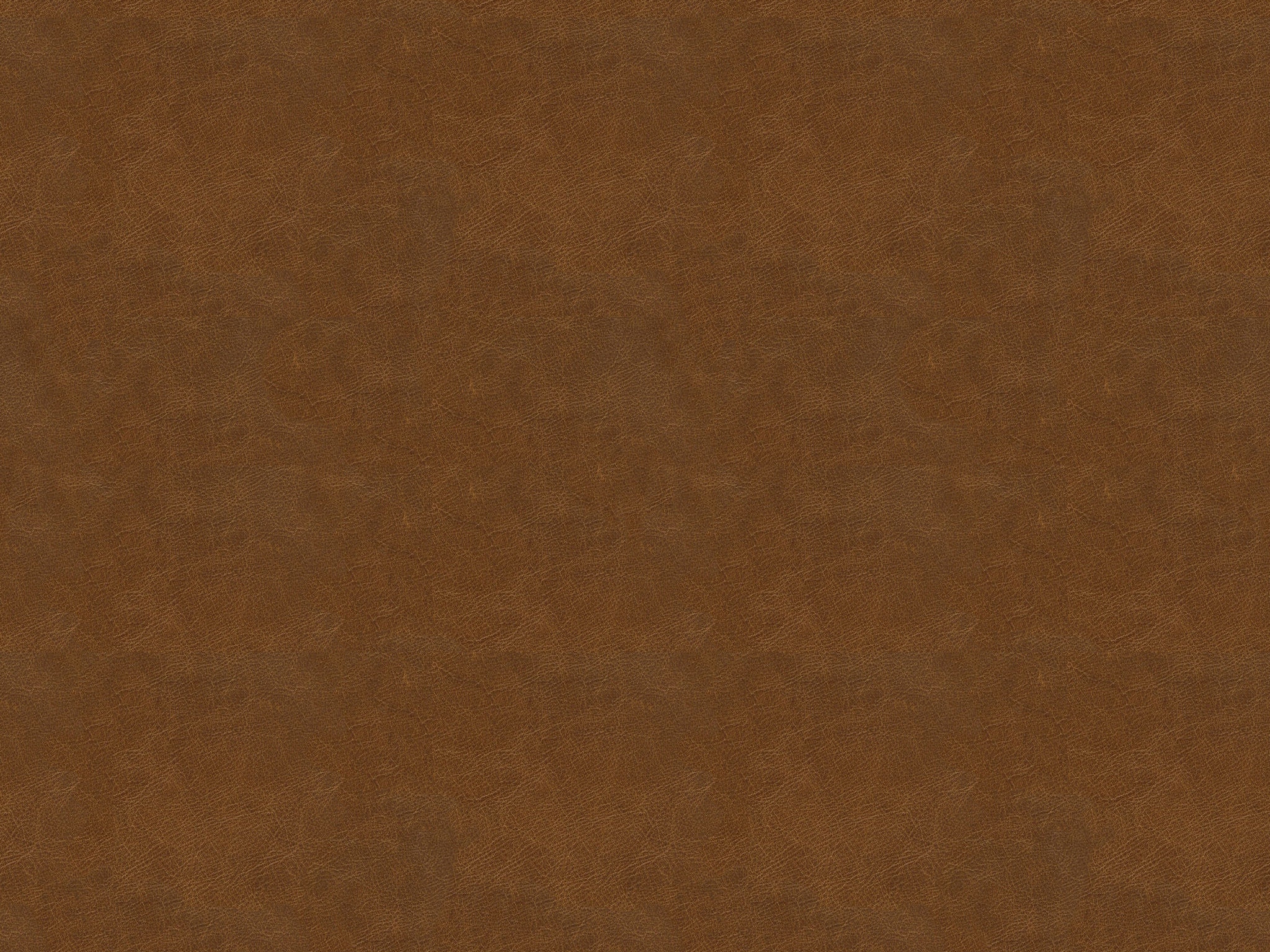 Chaddock  L2217-BRNS