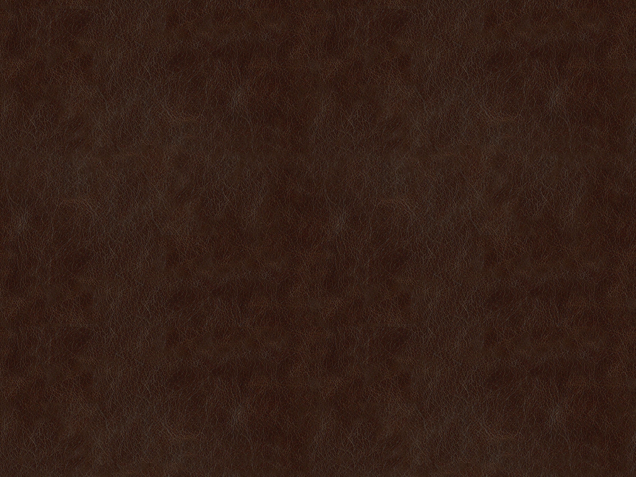 Chaddock  L2217-COCO