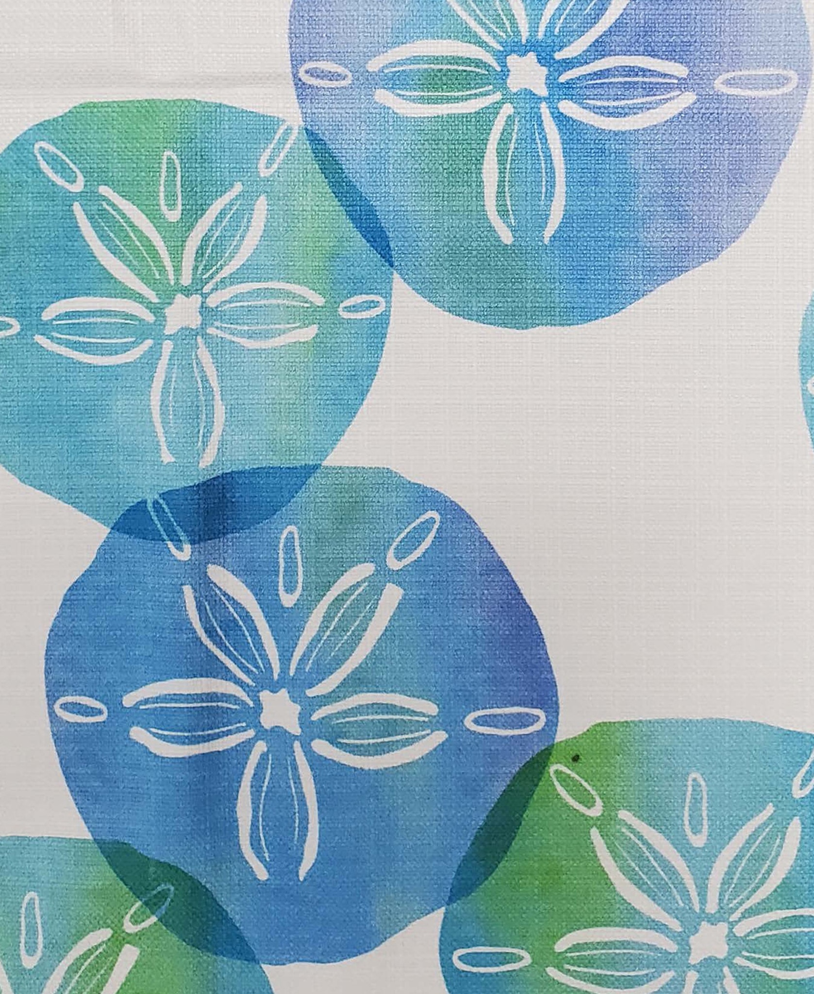   F159 SAND DOLLAR AQUA