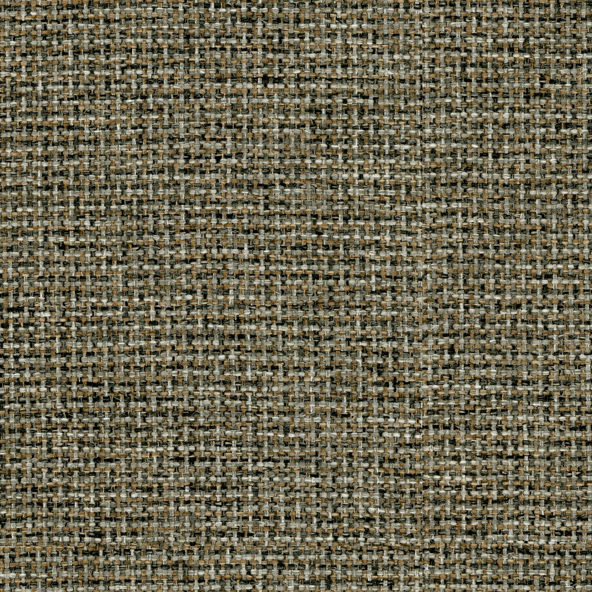   F69 CALIENTE BROWN SPICE