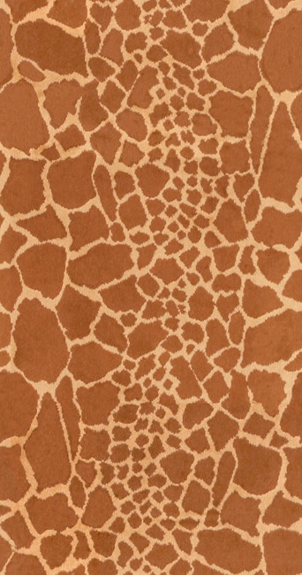 Orange/Rust 2002-41