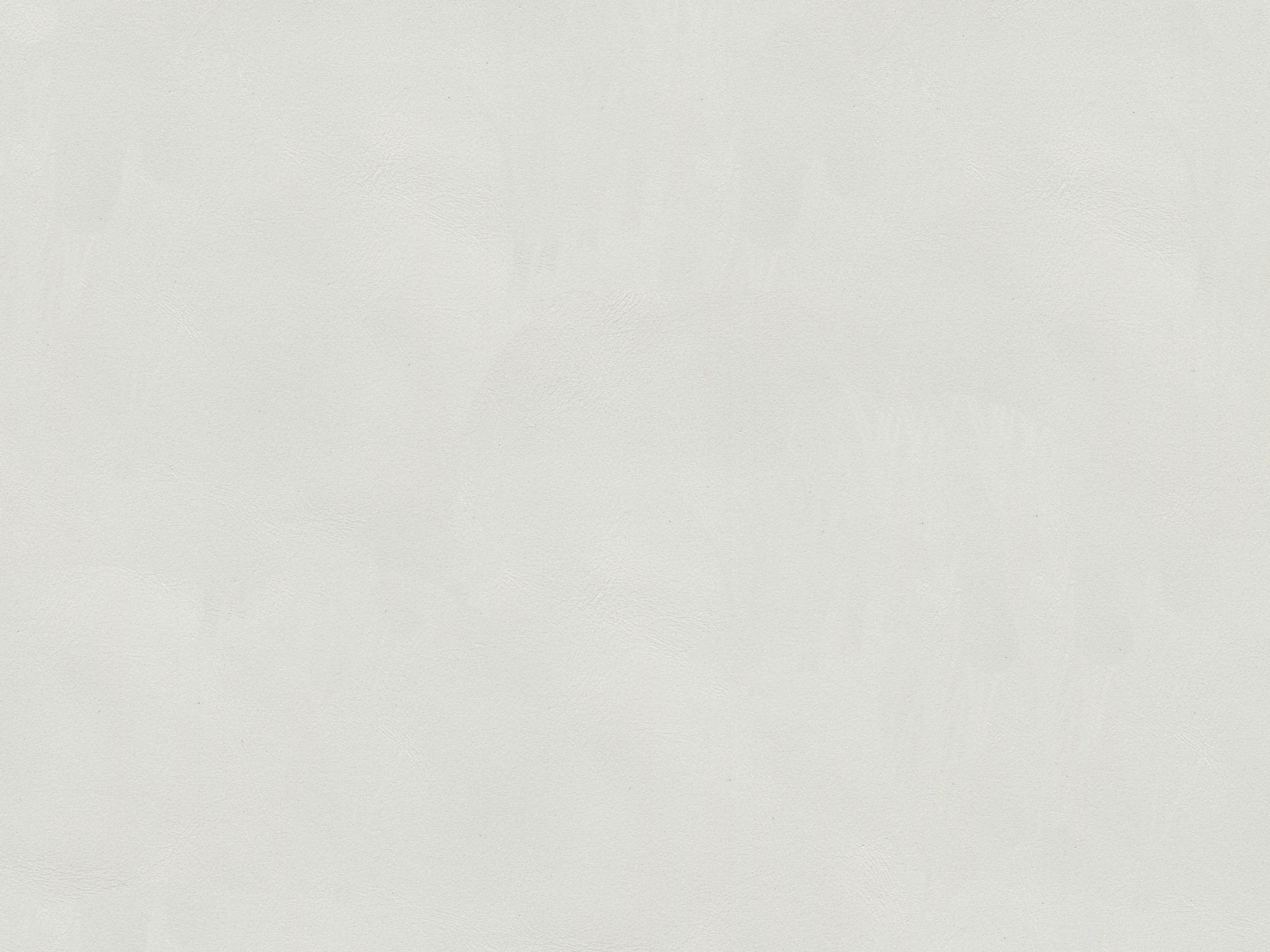 White/Ivory 9013-11
