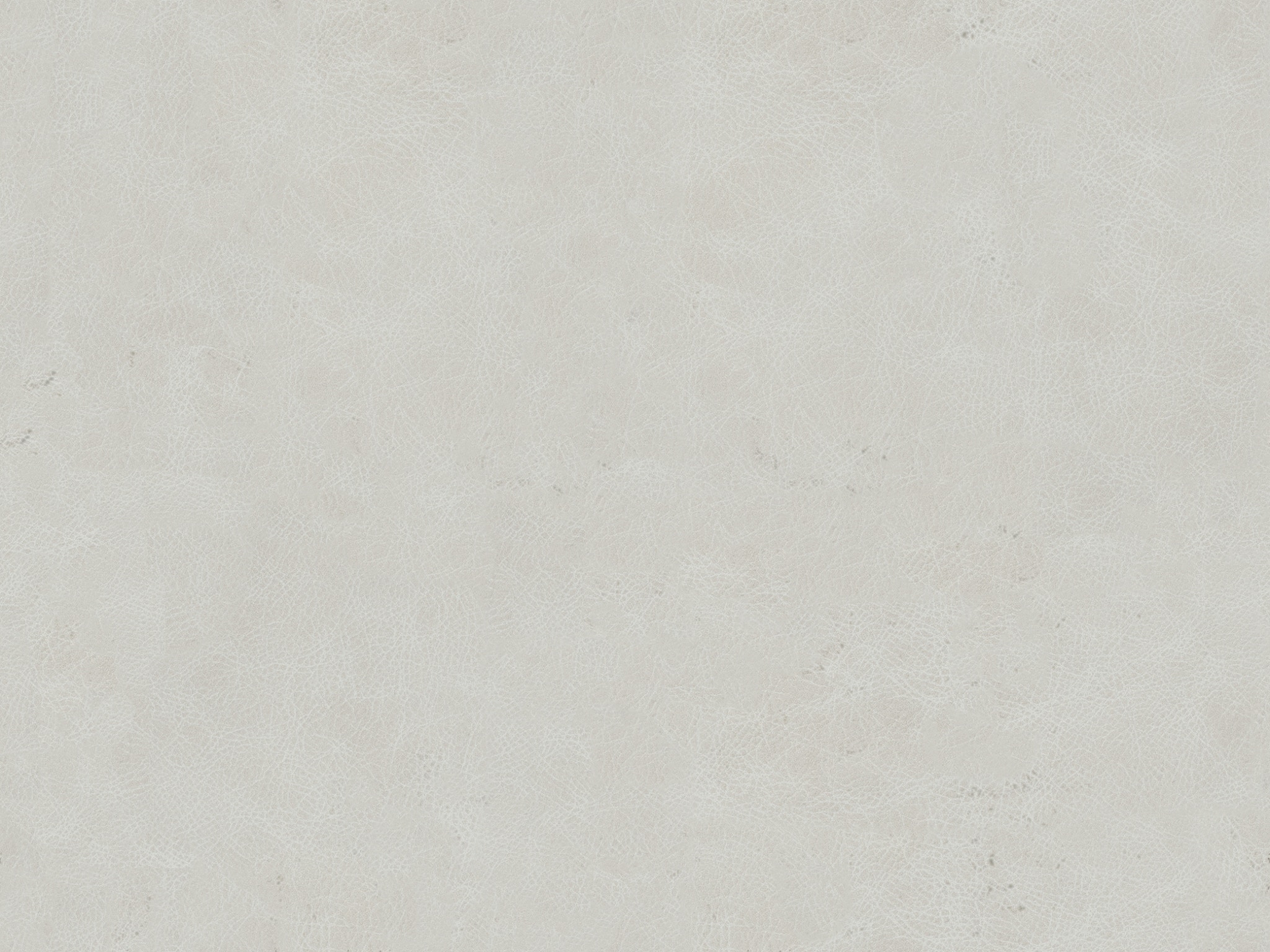 Light Neutral 9040-11