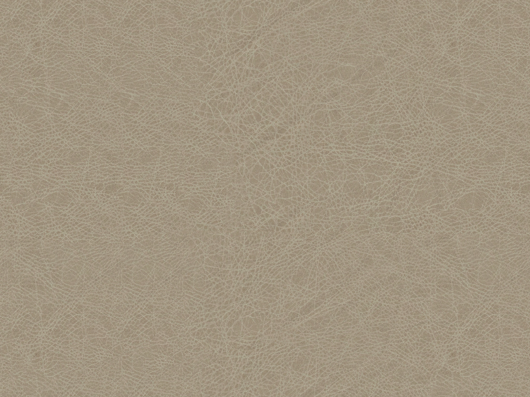 Light Neutral 9040-12