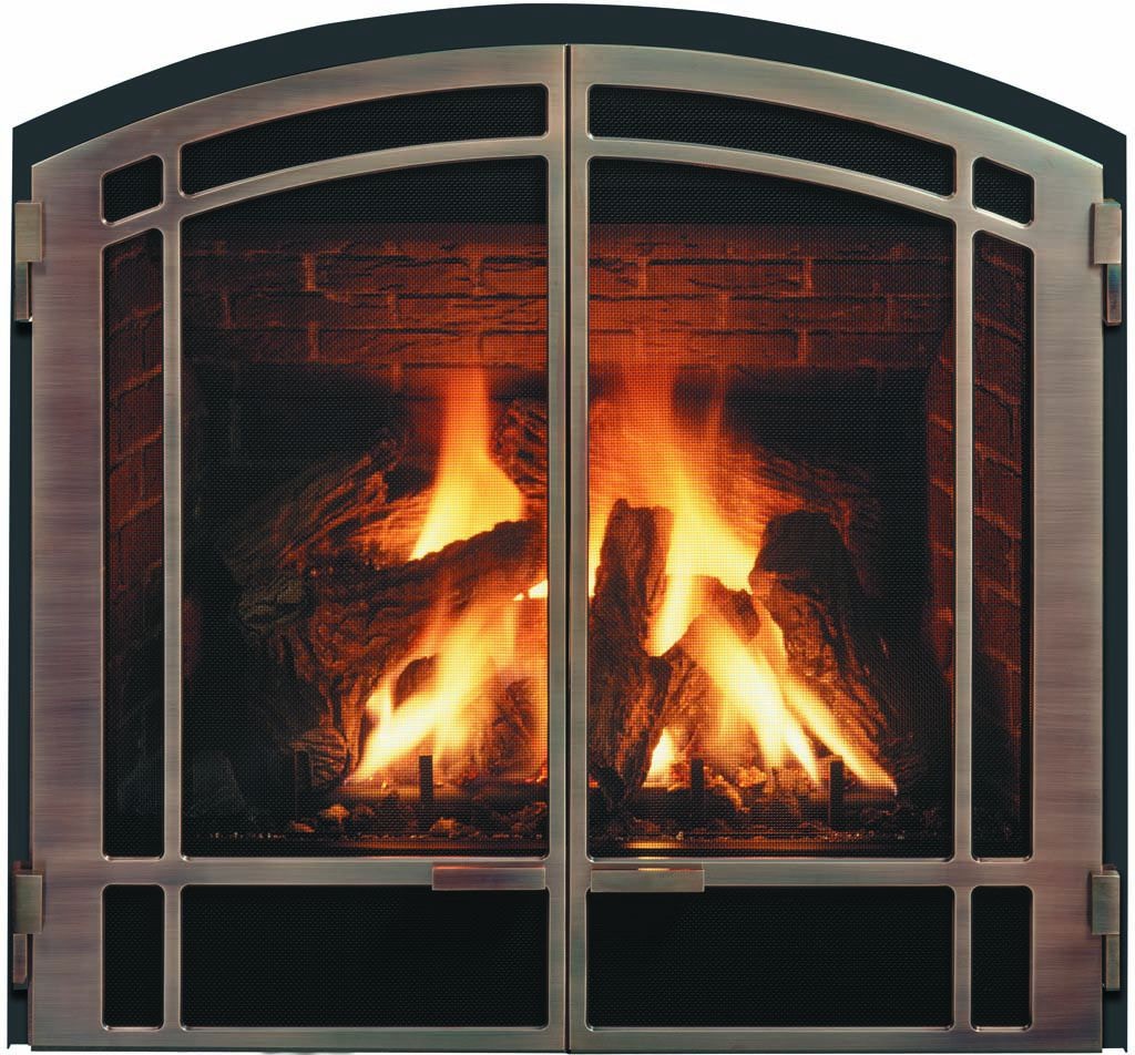 Mendota Fireplace Glass Door The Fire House Casual Living Store