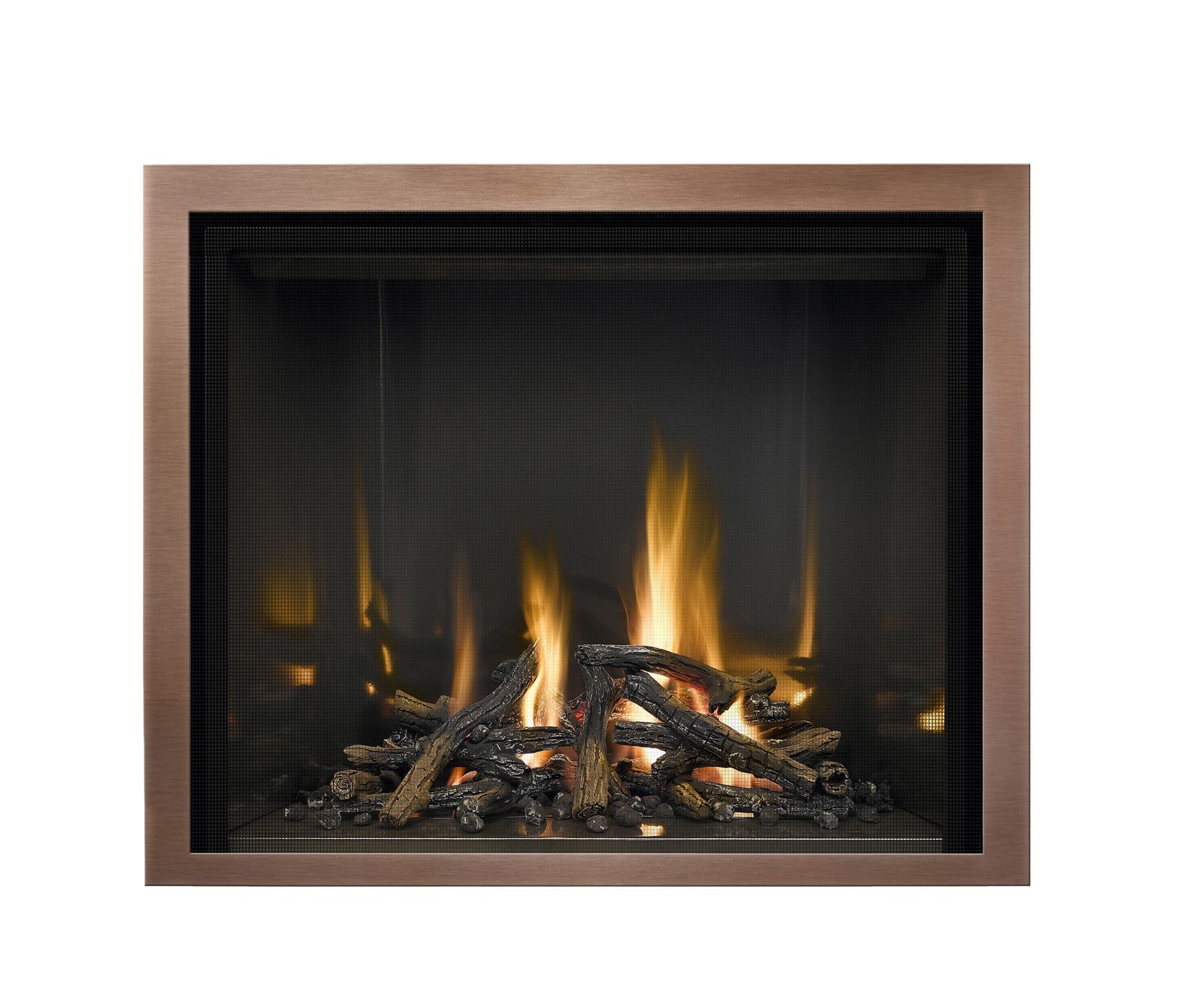Mendota Fireplace Glass Door The Fire House Casual Living Store