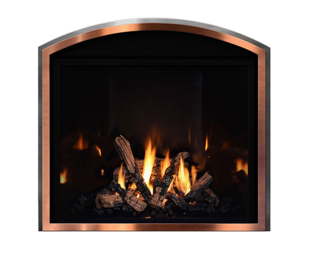 Mendota Fireplace Glass Door The Fire House Casual Living Store