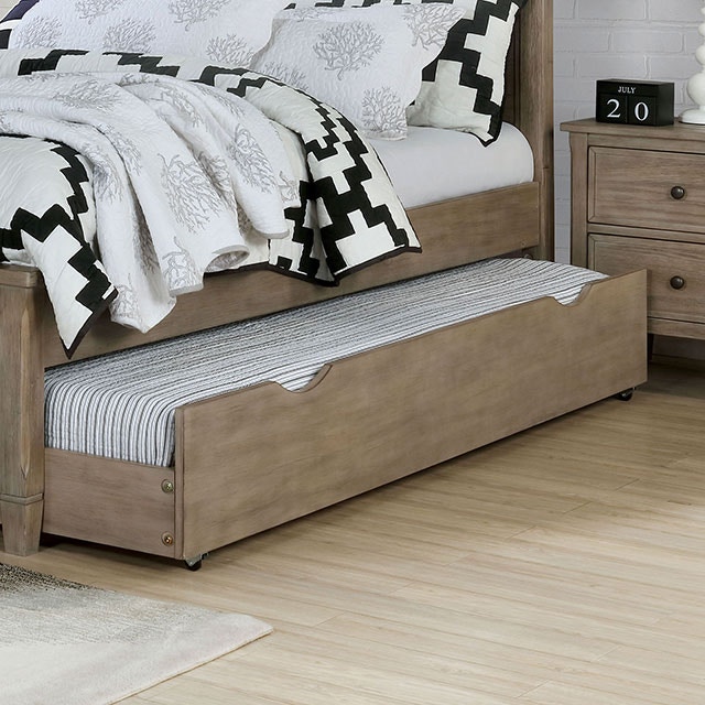  Trundle/Drawer 