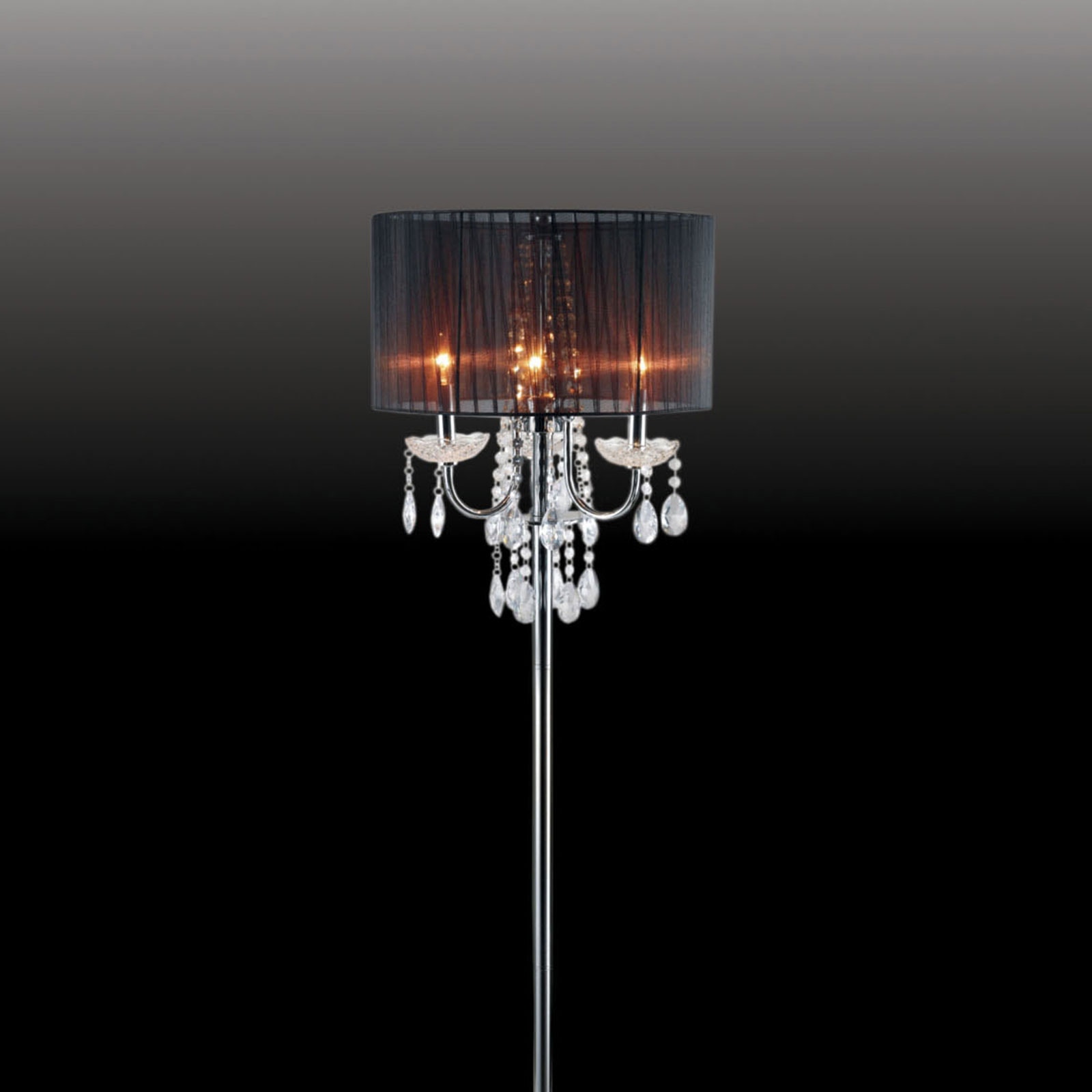 Furniture of America Floor Lamp L76733BK-F