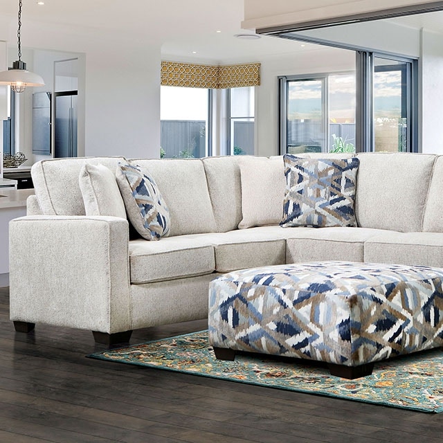 Furniture of America Sectional SM5403-SECT