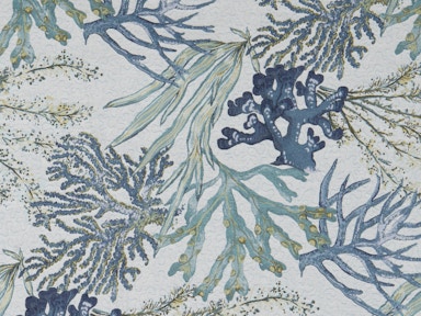 picture Coral Reef Oceanside Fabric By The Yard Oceanside other fabric capris furniture ocala fl