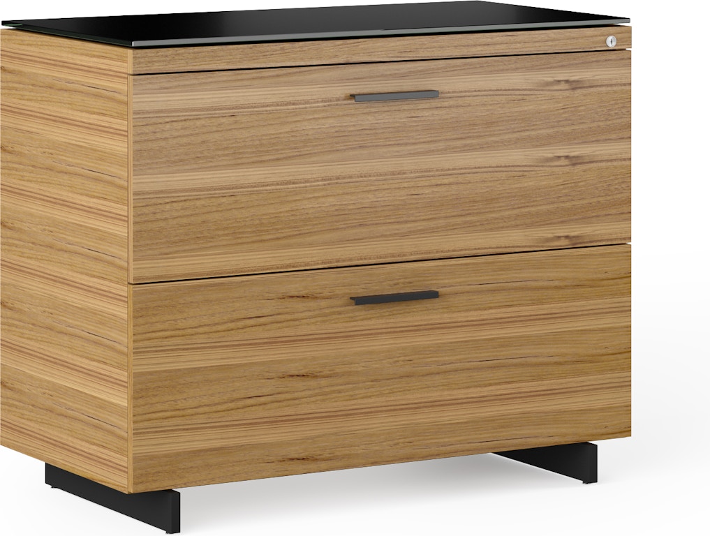 Lateral Locking File Cabinet BYNSOE 2 Drawer Lateral File Cabinet With