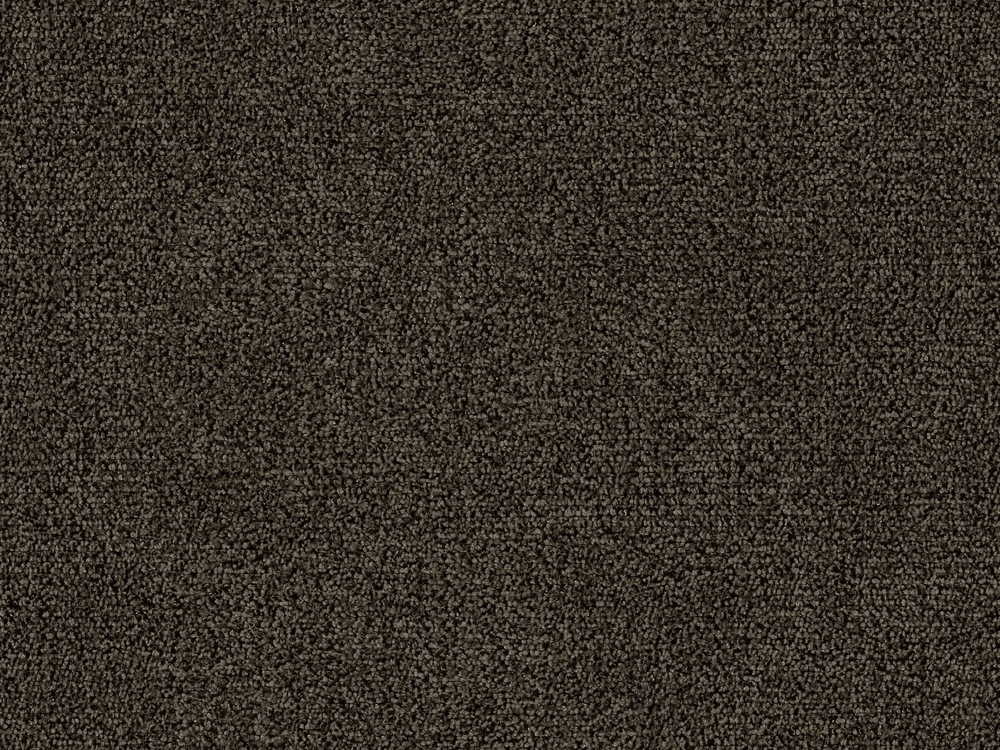   8556