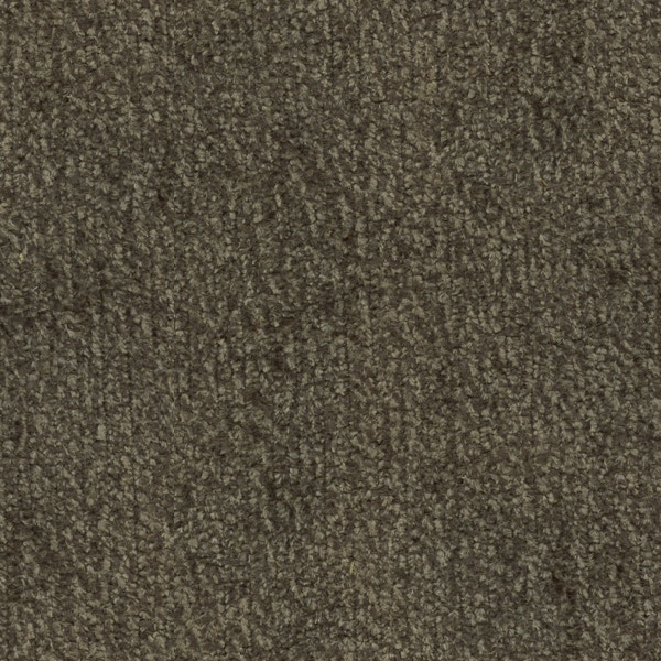 Grey 6591